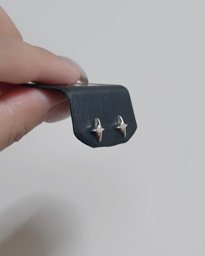 #452 | Earrings | 925 Silver