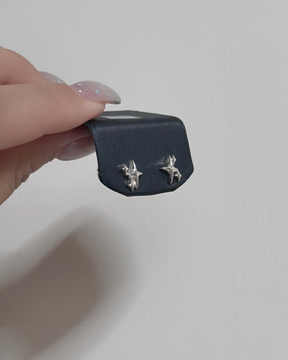 #454 | Earrings | 925 Silver
